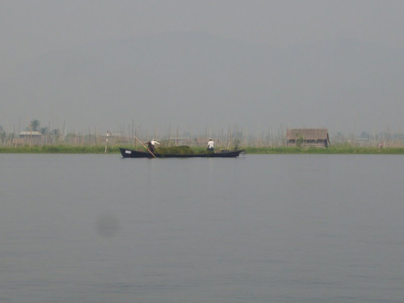 Travel - Myanmar - Inle Lake - Second Boat Trip - Open Lake